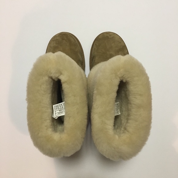 UGG Patten Chestnut Bootie With Wool Lining - Picture 5 of 6